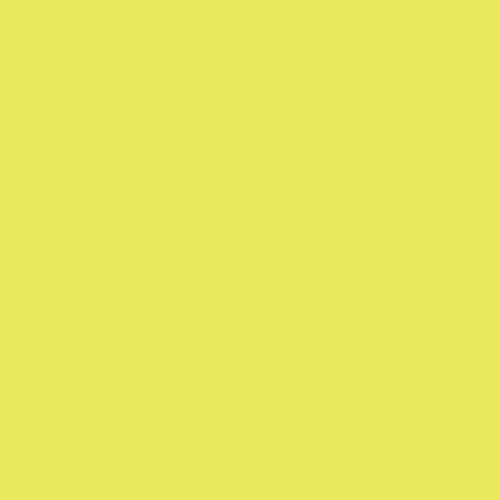 7453 Yellow 53